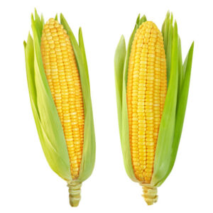 Corn